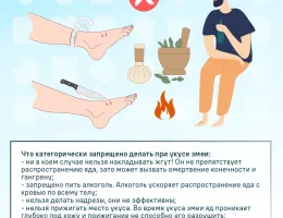 Проблемы с септиками: как их избежать и что делать при поломке