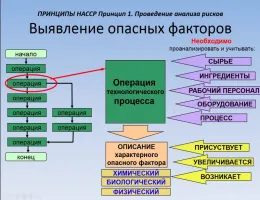 Анализ рисков и проектирование фундаментов в условиях землетрясений