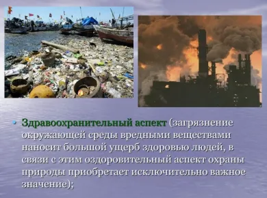 Влияние септиков на здоровье и окружающую среду: что нужно знать