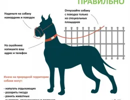 Как правильно ухаживать за забором: советы по поддержанию его в идеальном состоянии